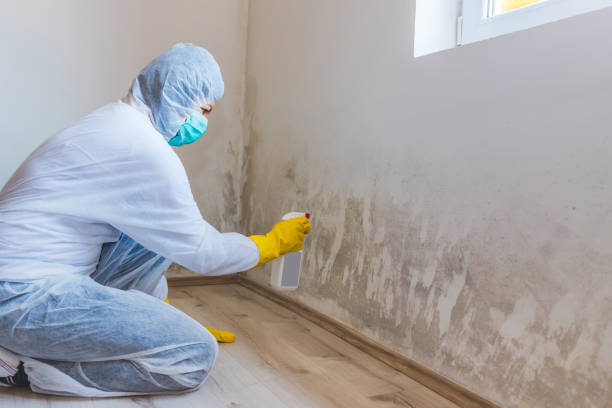 Crawl Space Mold Removal in Hamilton, OH