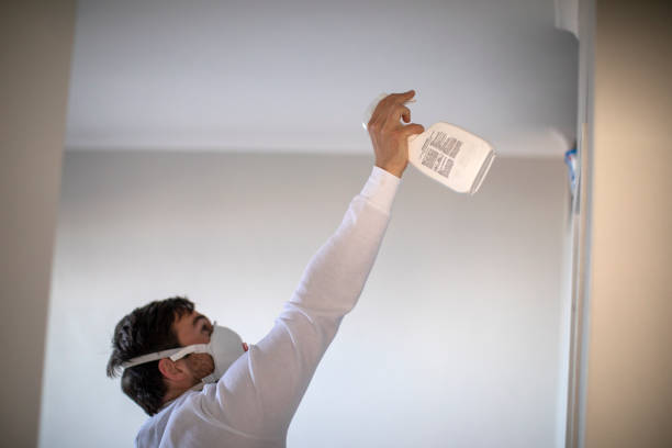 Best Local Mold Removal Service  in Hamilton, OH