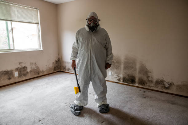Best Crawl Space Mold Removal  in Hamilton, OH